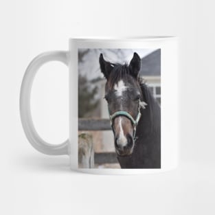 TB COLT Mug